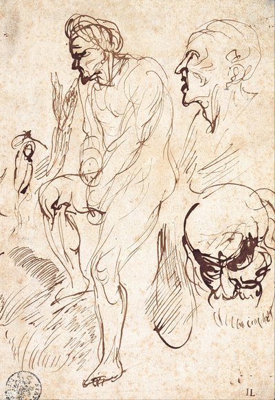 Studies after the Model by Jan the Elder Lievens